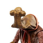Star Wars The Black Series Momaw Nadon Deluxe 6-Inch Action Figure (THIS ITEM IS A PRE-ORDER ETA November / December 2024)