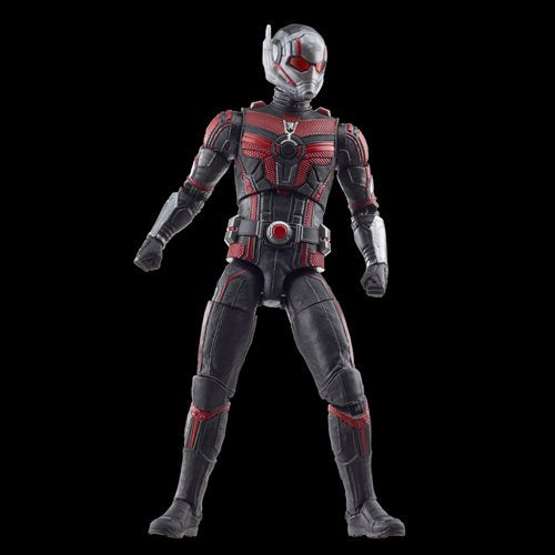Ant-Man & the Wasp: Quantumania Marvel Legends Ant-Man 6-Inch Action Figure (PREORDER ETA JULY 2023)