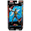 Ant-Man & the Wasp: Quantumania Marvel Legends Marvel's Wasp 6-Inch Action Figure (PREORDER ETA OCTOBER 2023)